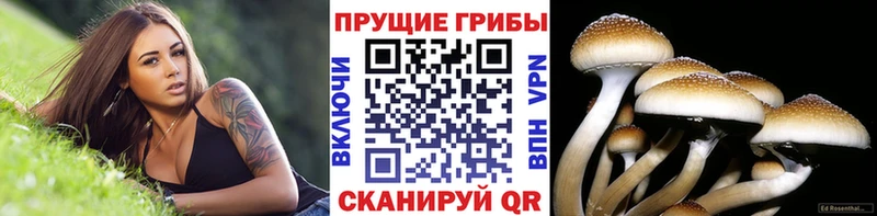 Галлюциногенные грибы MAGIC MUSHROOMS  Сольцы 